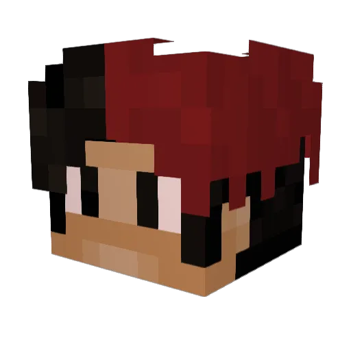 _qNight Minecraft avatar head, 3D render