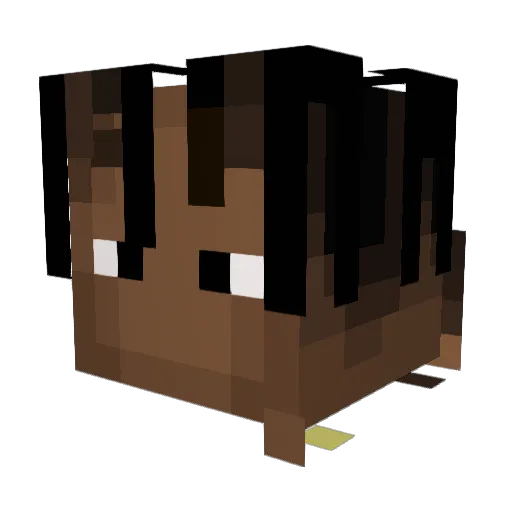 _qep_ Minecraft avatar head, 3D render