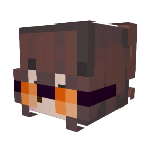 _rainsap Minecraft avatar head, 3D render