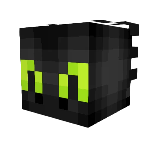 _rapoo_ Minecraft avatar head, 3D render
