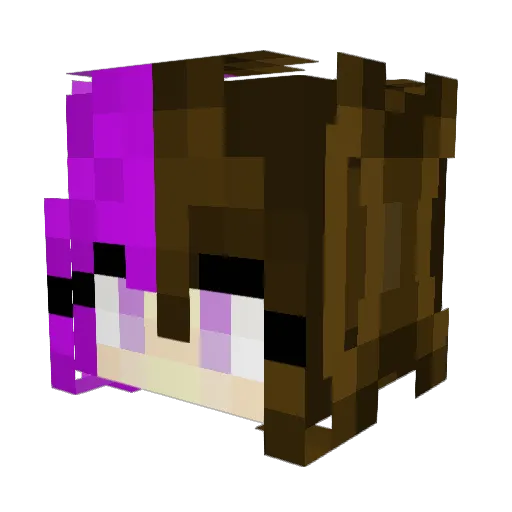 _ravxen Minecraft avatar head, 3D render