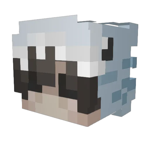 _raymarjg_ Minecraft avatar head, 3D render