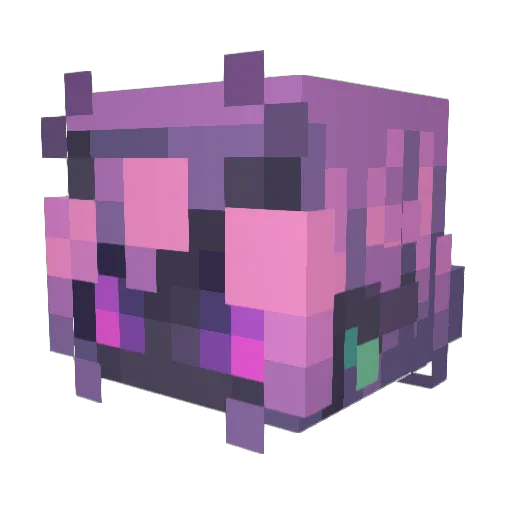 _rayvn Minecraft avatar head, 3D render