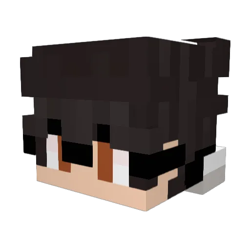 _recha Minecraft avatar head, 3D render