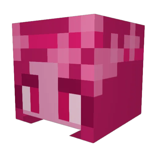 _redback_ Minecraft avatar head, 3D render