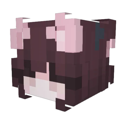 _richardLMAO Minecraft avatar head, 3D render