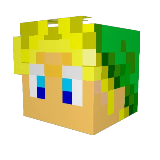 _rigby_ Minecraft avatar head, 3D render