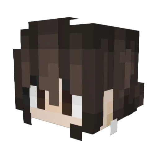 _rinema_ Minecraft avatar head, 3D render