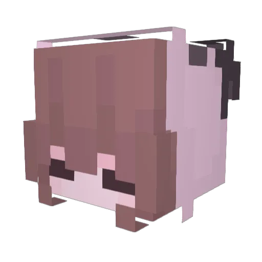_riopi Minecraft avatar head, 3D render