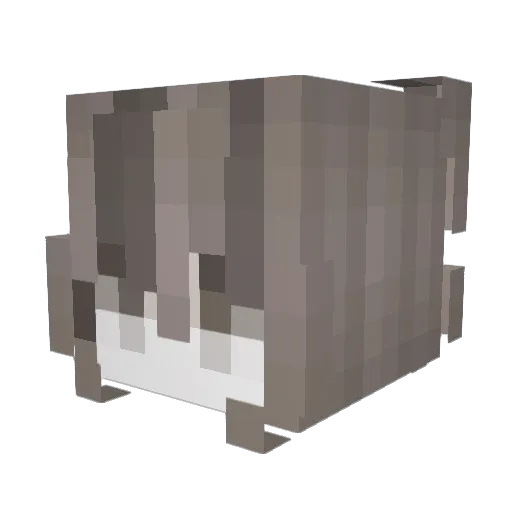 _roselynn Minecraft avatar head, 3D render