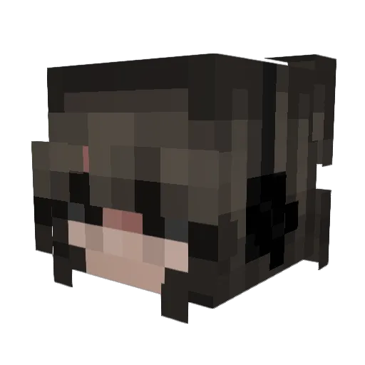 _rqachel_ Minecraft avatar head, 3D render