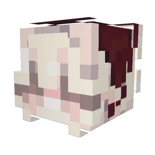 _rumix_ Minecraft avatar head, 3D render