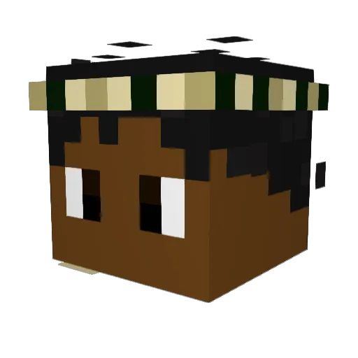 _ruuiiz8 Minecraft avatar head, 3D render