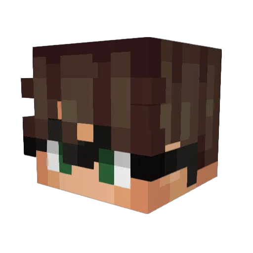 _ryjn Minecraft avatar head, 3D render