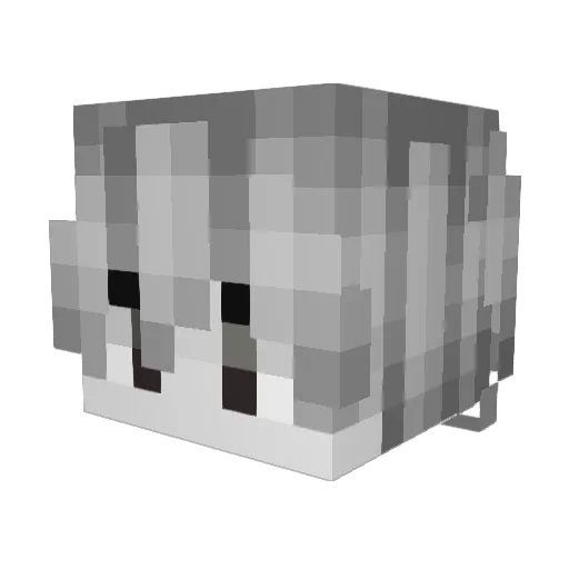 _ryzin Minecraft avatar head, 3D render