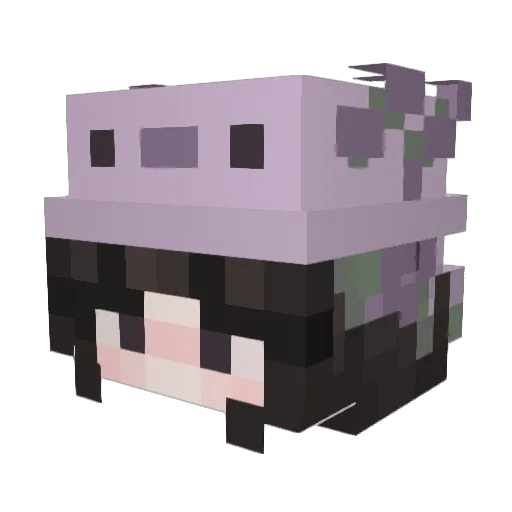 _s2ing Minecraft avatar head, 3D render