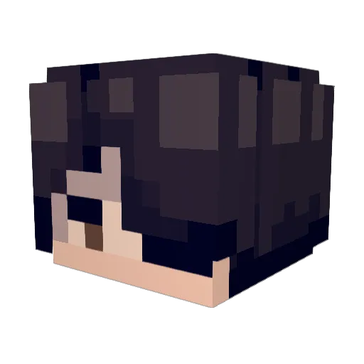 _sP2 Minecraft avatar head, 3D render