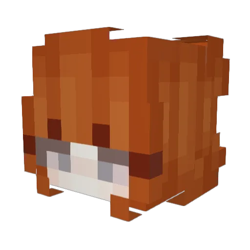 _samayo_ Minecraft avatar head, 3D render