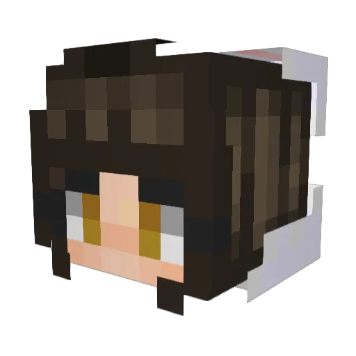 _sambi Minecraft avatar head, 3D render