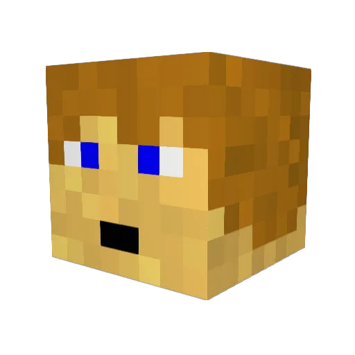 _samhodgson Minecraft avatar head, 3D render