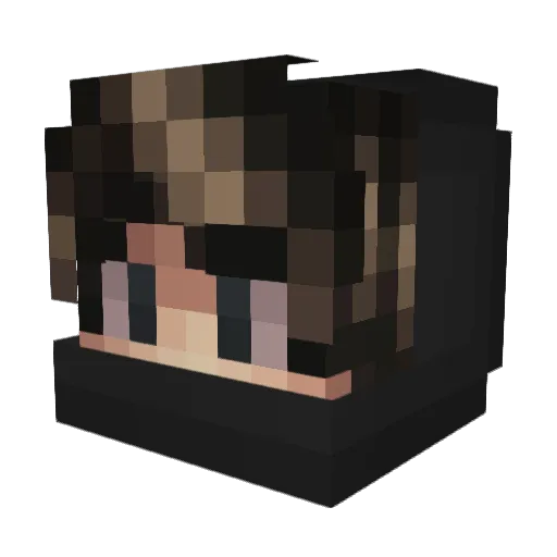 _sanntek_ Minecraft avatar head, 3D render