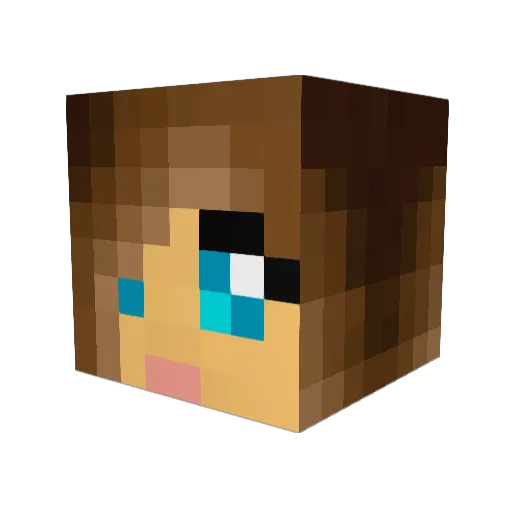 _sarah_1 Minecraft avatar head, 3D render