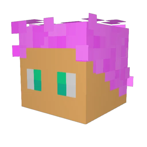 _scheidz Minecraft avatar head, 3D render