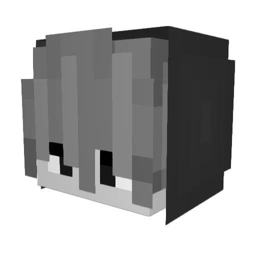 _schordie Minecraft avatar head, 3D render