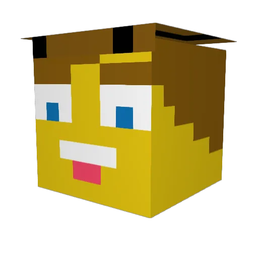 _seb_ Minecraft avatar head, 3D render