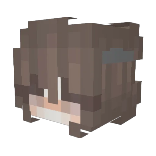 _sejoo Minecraft avatar head, 3D render