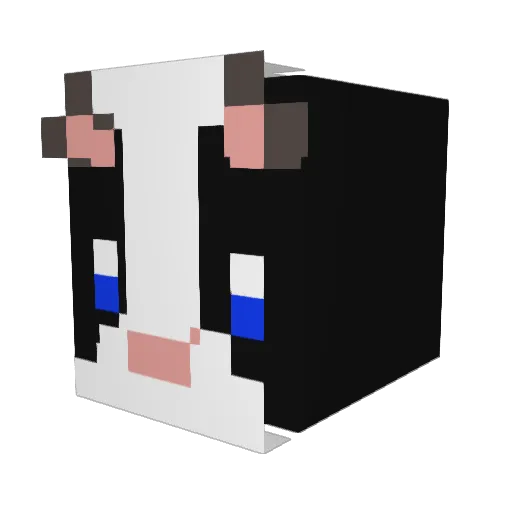 _seonghyeon Minecraft avatar head, 3D render