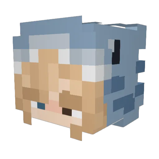 _sh4rkpup Minecraft avatar head, 3D render