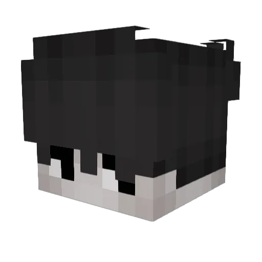 _shaaun Minecraft avatar head, 3D render