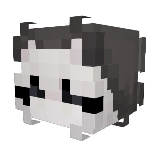 _shadow_19 Minecraft avatar head, 3D render