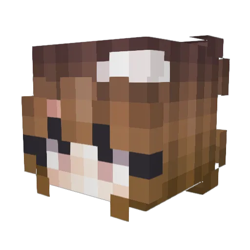 _shellsea_ Minecraft avatar head, 3D render