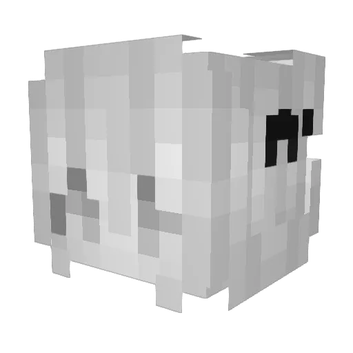 _shotzz Minecraft avatar head, 3D render