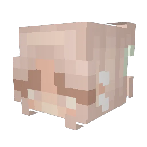 _sienadawn_ Minecraft avatar head, 3D render