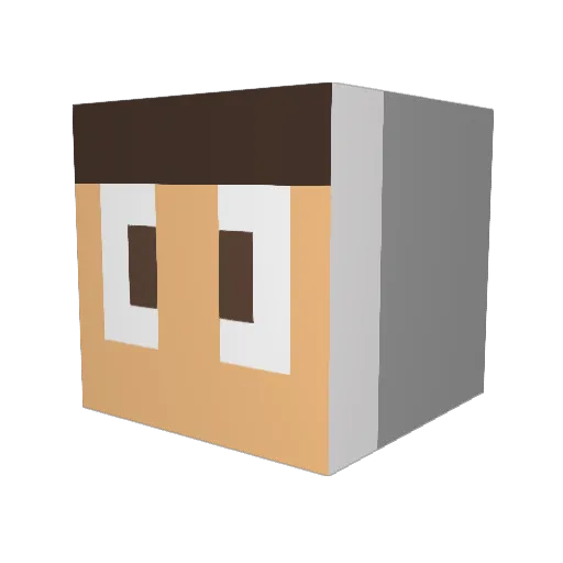 _sig1 Minecraft avatar head, 3D render