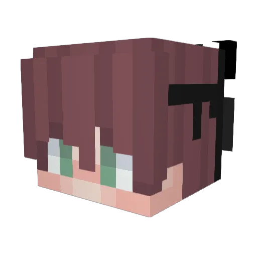 _simplii Minecraft avatar head, 3D render
