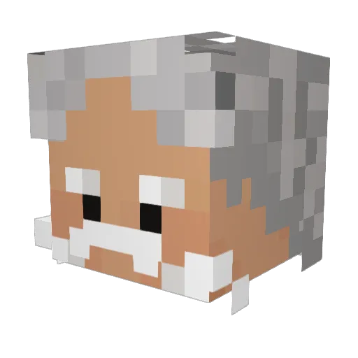 _sina_gamer Minecraft avatar head, 3D render