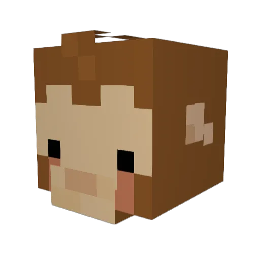_sir_obi_ Minecraft avatar head, 3D render