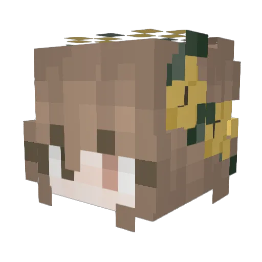 _sk1tty Minecraft avatar head, 3D render