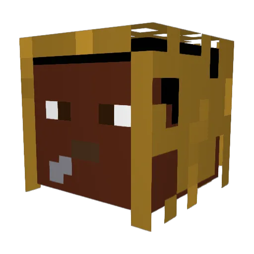 _skeng__ Minecraft avatar head, 3D render