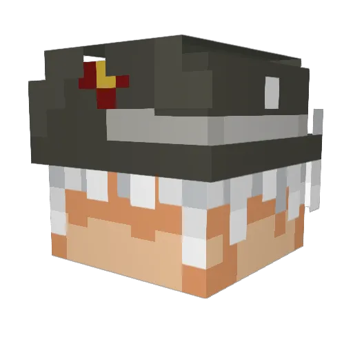 _skyfee Minecraft avatar head, 3D render