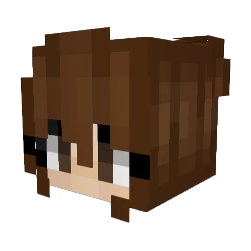 _skylerembry Minecraft avatar head, 3D render