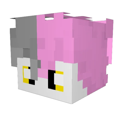 _sl33pyfella Minecraft avatar head, 3D render