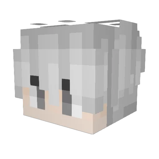 _slawell_ Minecraft avatar head, 3D render