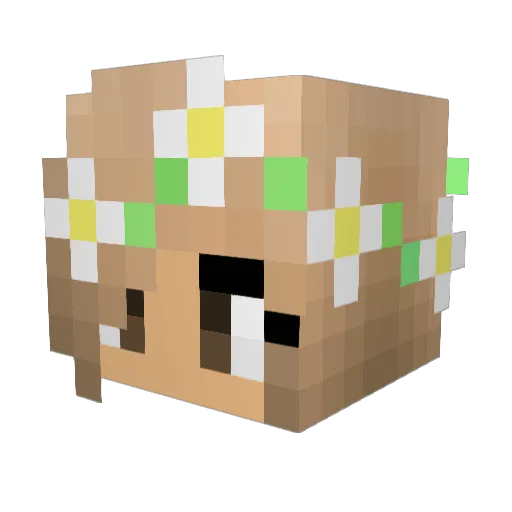 _slayer123 Minecraft avatar head, 3D render