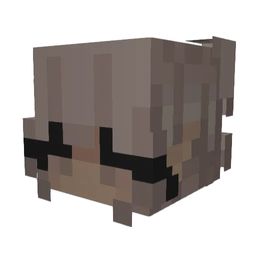 _sleepy_head_ Minecraft avatar head, 3D render