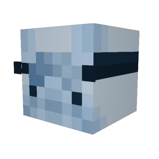 _sleepyfallonzz Minecraft avatar head, 3D render